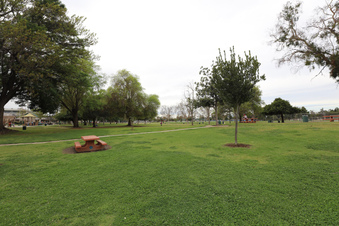Enlarge photo 40