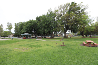 Enlarge photo 41