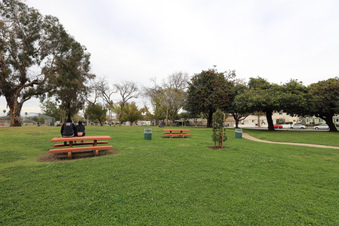 Enlarge photo 43