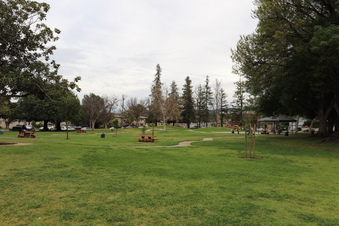 Enlarge photo 44