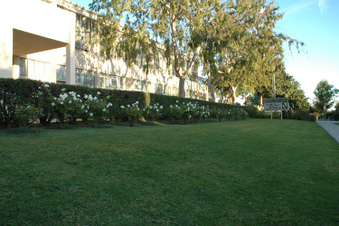 Enlarge photo 21