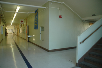 Enlarge photo 62