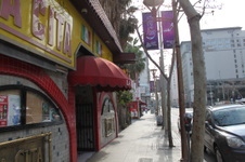 Enlarge photo 45