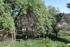 Enlarge photo 52