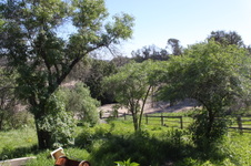 Enlarge photo 53
