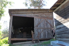 Enlarge photo 54