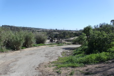 Enlarge photo 55