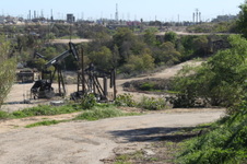 Enlarge photo 56