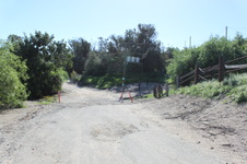 Enlarge photo 63