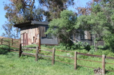 Enlarge photo 65