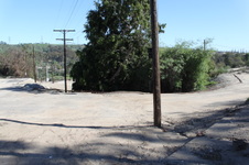 Enlarge photo 67