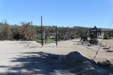 Enlarge photo 71