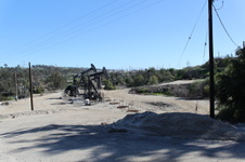 Enlarge photo 72