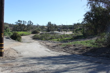 Enlarge photo 80