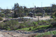 Enlarge photo 81