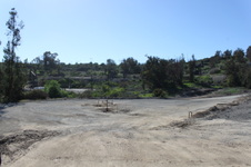 Enlarge photo 82