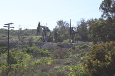 Enlarge photo 86