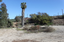 Enlarge photo 33