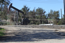 Enlarge photo 90