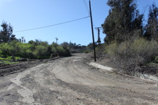 Enlarge photo 91