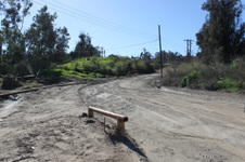 Enlarge photo 98