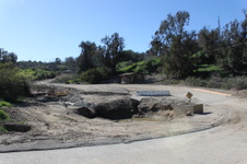 Enlarge photo 103
