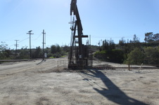 Enlarge photo 113