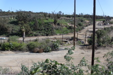 Enlarge photo 121