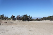 Enlarge photo 130