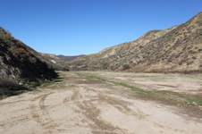 Enlarge photo 128