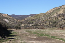 Enlarge photo 129