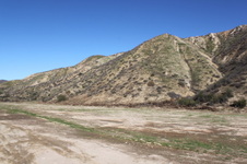 Enlarge photo 130
