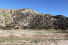 Enlarge photo 131
