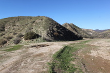 Enlarge photo 134