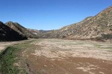 Enlarge photo 135