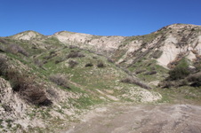 Enlarge photo 136