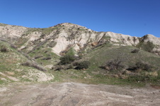 Enlarge photo 137