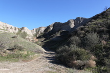 Enlarge photo 138