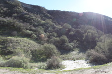 Enlarge photo 139