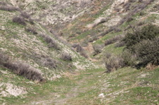 Enlarge photo 140
