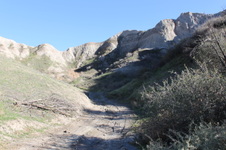 Enlarge photo 141