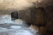 Enlarge photo 179