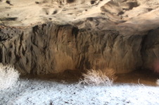 Enlarge photo 185