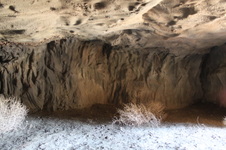 Enlarge photo 186