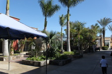 Enlarge photo 20