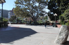 Enlarge photo 18