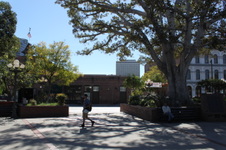 Enlarge photo 23