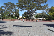 Enlarge photo 45