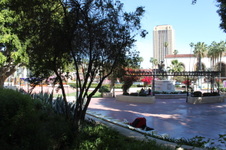 Enlarge photo 59