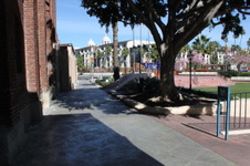Enlarge photo 65